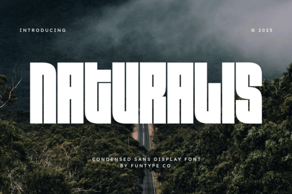 Naturalis: A Bold Modern Sans Serif Display Font