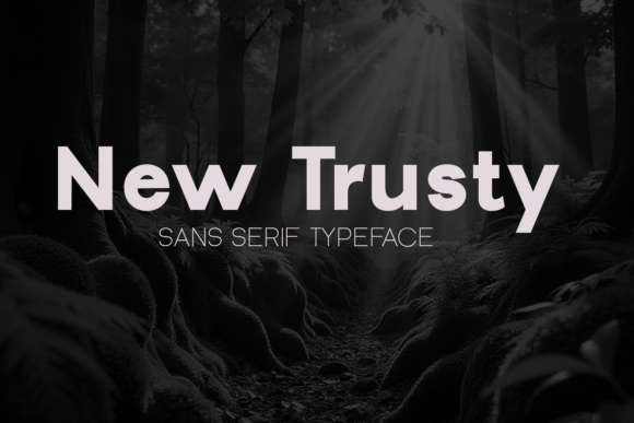 New Trusty: A Formal Elegant Typeface for Design